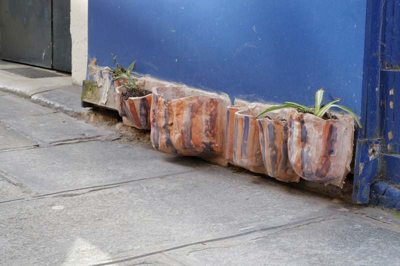 Close-up of terracotta and ceramic planters with herbs and trailing ivy